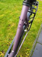 Pegasus Piazza 21V Damesfiets - 60cm Frame, Overige merken, 28 inch, Gebruikt, Vering