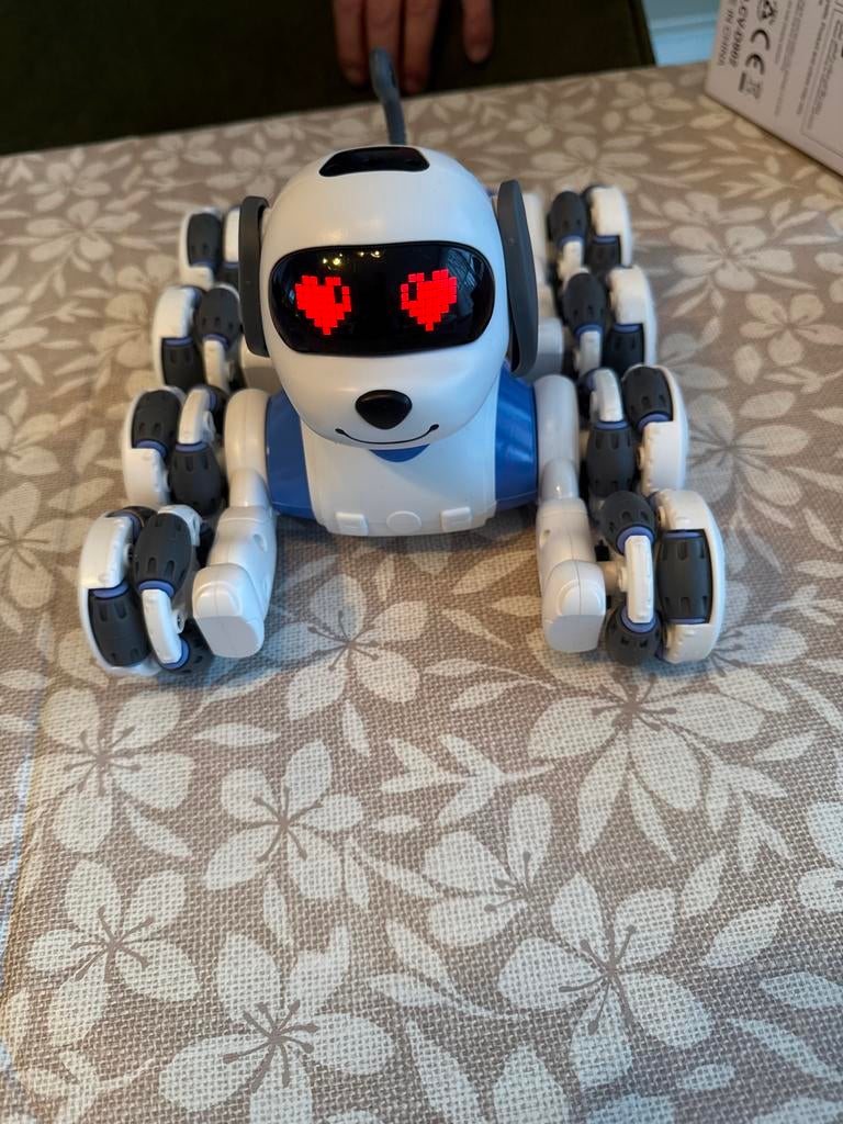 Robot Hond - Nieuw in Doos met Afstandsbediening, Ophalen of Verzenden, Nieuw