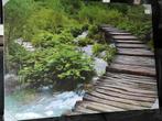 Nieuw Schilderij waterval bosgebied, Ophalen, Nieuw