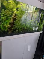 Juwel aquarium 125 liter, Ophalen, Zo goed als nieuw, Leeg aquarium