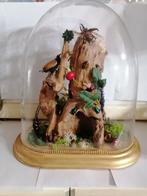 Taxidermy, Verzenden, Nieuw, Insect, Opgezet dier