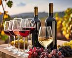 Wijnproeverij aan huis + gratis fles wijn t.w.v. 135,-, Tickets en Kaartjes, Drie personen of meer