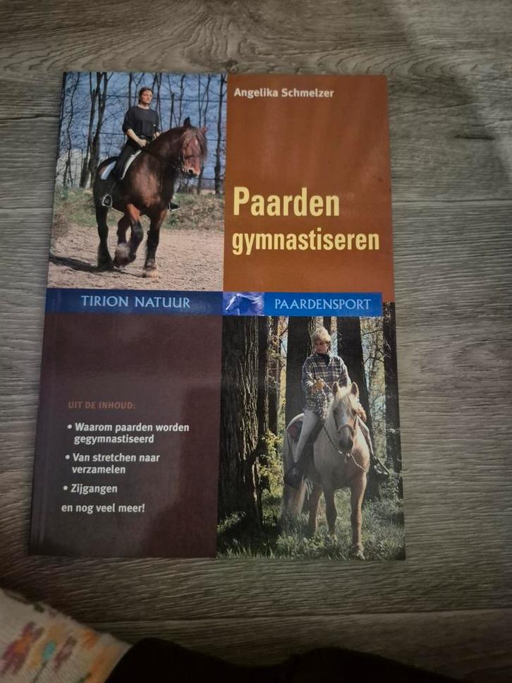 Paarden Gymnastiseren - Angelika Schmelzer, Boeken, Sportboeken, Gelezen, Overige sporten, Ophalen of Verzenden