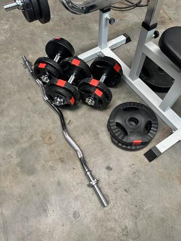 Biceps curl bank & dumbbells Met gewichten. beschikbaar voor biedingen