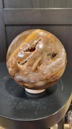 Versteend hout bol XL weekend deal, Ophalen of Verzenden