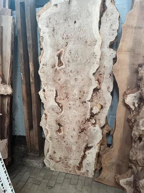 Droge schaaldelen eik iep olijf wortel noten taxus redwood, Doe-het-zelf en Verbouw, Hout en Planken, Nieuw, Plank, Eiken, Ophalen of Verzenden