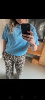 Azzurro, Azurro, Ophalen of Verzenden, Zo goed als nieuw, Maat 38/40 (M)