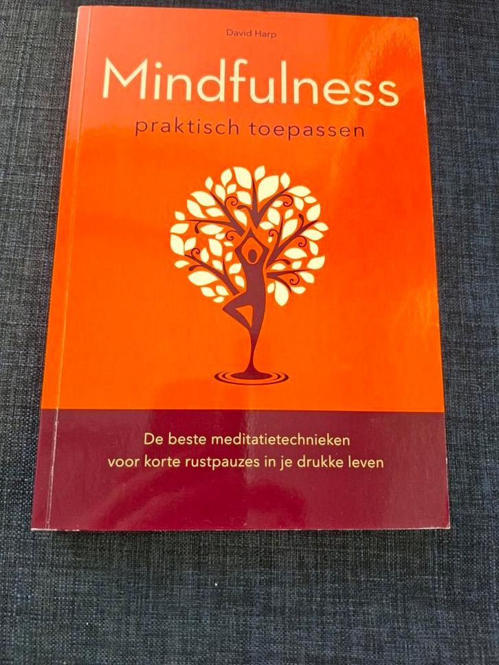 Mindfulness: Praktisch Toepassen - David Harp, Boeken, Advies, Hulp en Training, Zo goed als nieuw, Ophalen of Verzenden