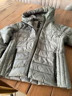 Tussenjas Hollister grijs gewateerd, Kleding | Dames, Jassen | Winter, Ophalen of Verzenden, Zo goed als nieuw, Maat 36 (S), Grijs