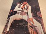 Boek Elvis Presley met mooie jaren 70 foto's diverse info, Ophalen of Verzenden, Artiest, Elvis Presley