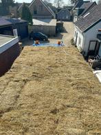 hooi / heel mooi en schoon / regio Krimpenerwaard, Dieren en Toebehoren, Ophalen, Vee
