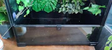 Habistat glazen terrarium | 60 x 45 x 60 | Met toebehoren beschikbaar voor biedingen