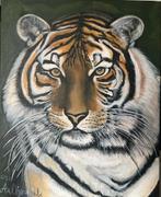 Schilderij bengaals tijger acr eigen eerk Aaltje Wals, Antiek en Kunst, Ophalen of Verzenden