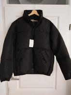 Heren winterjas Pull en Bear, maat M  Nieuw, Ophalen of Verzenden, Nieuw, Maat 48/50 (M), Zwart