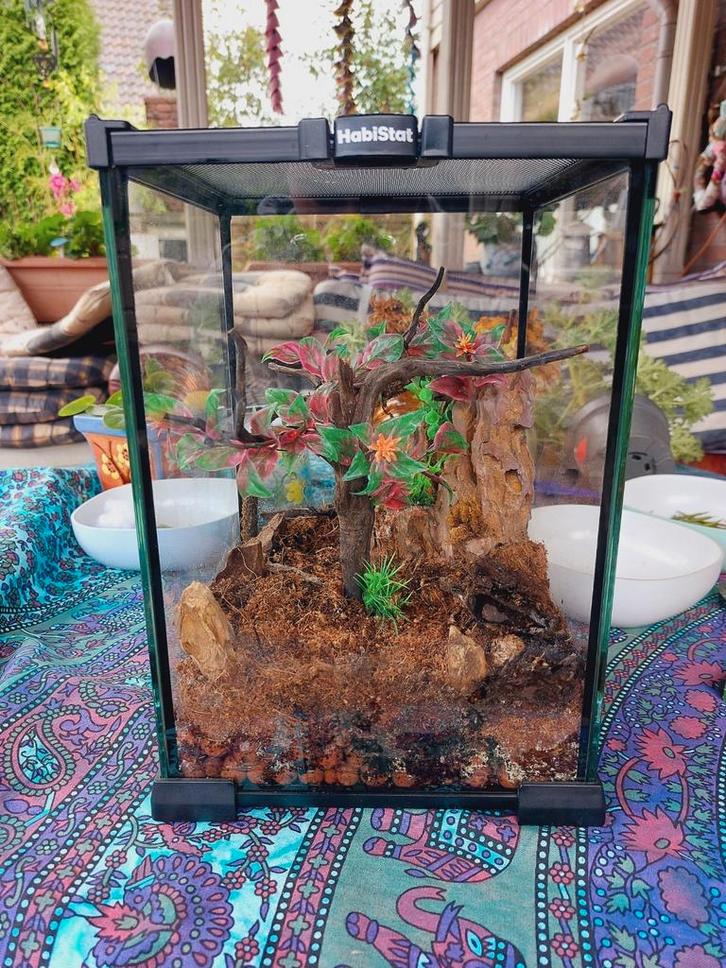 Habistat 20x20x30 terrarium, Dieren en Toebehoren, Reptielen en Amfibieën | Toebehoren, Zo goed als nieuw, Terrarium of Paludarium