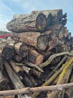 Stamhout grote diameter., Tuin en Terras, Ophalen of Verzenden