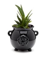 Zwarte Heksenketel Bloempot - Halloween Decoratie, Ophalen of Verzenden, Nieuw, Overige typen, Halloween of Griezel