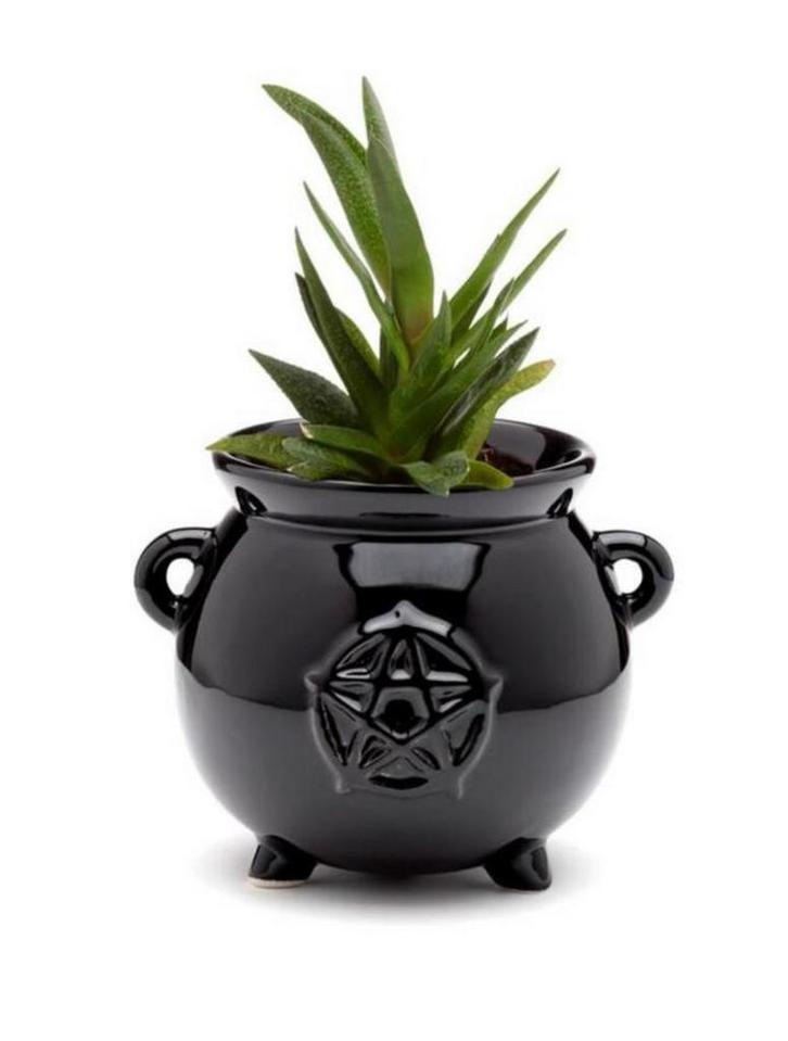Zwarte Heksenketel Bloempot - Halloween Decoratie, Hobby en Vrije tijd, Feestartikelen, Nieuw, Overige typen, Halloween of Griezel