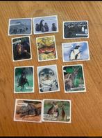 Dierenwereld plakplaatjes, Deen, Ophalen of Verzenden