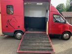 Te koop Mercedes-Benz 2-paards vrachtwagen met B rijbewijs, Dieren en Toebehoren, Paarden en Pony's | Trailers en Aanhangwagens