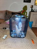 Biorb Aquarium 15 liter met toebehoren, Ophalen, Leeg aquarium