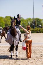 Training, zadelmak maken, verkopen en uitbrengen, Dieren en Toebehoren, Paarden en Pony's | Overige Paardenspullen, Ophalen of Verzenden