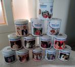 13 Wilhemina pepermunt blikken, Verzamelen, Ophalen of Verzenden, Overige