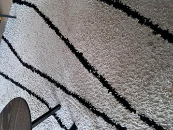 Groot vloerkleed 200x290 beschikbaar voor biedingen