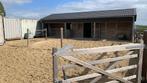 Plek vrij aan huis, Dieren en Toebehoren, Stalling en Weidegang, Weidegang, 1 paard of pony