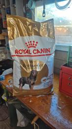 Royal canon adult rottweiler, Ophalen, Hond