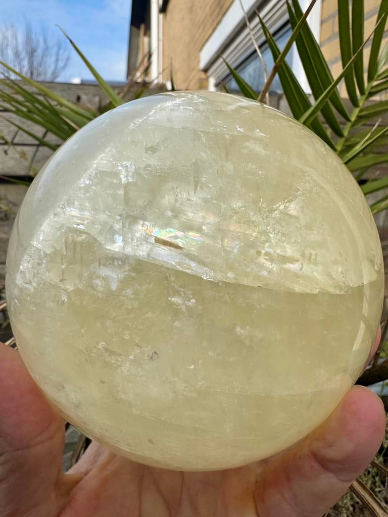 Calciet bol XL 2,9kg, Ophalen of Verzenden