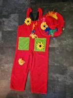 Carnavals pak, Kleding | Dames, Carnavalskleding en Feestkleding, Maat 38/40 (M), Carnaval, Ophalen of Verzenden, Zo goed als nieuw