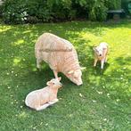 Tuinbeelden schaap polyester dieren, schapen, decorbeelden, Geslacht onbekend, Schaap