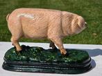 VARKEN / GIETIJZER, Ophalen of Verzenden, Nieuw, Boerderijdier, Beeldje of Figuurtje
