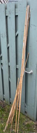 Bamboe stokken diverse maten, Tuin en Terras, Kweekspullen, Ophalen of Verzenden