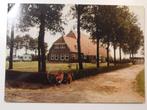 Appelscha 8 boerderij, Verzenden, 1960 tot 1980, Gelopen, Friesland