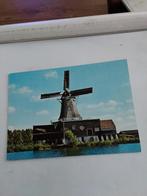 IJLST.   HOUTZAAGMOLEN. DE RAT. 1981, Ophalen of Verzenden, 1980 tot heden