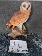 Mooi nieuw kwaliteits beeld van de uil te koop, Ophalen, Nieuw, Dier