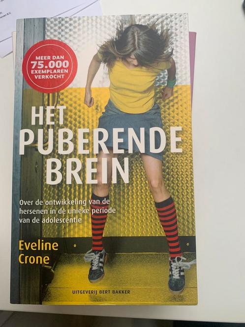 Eveline Crone - Het puberende brein, Boeken, Psychologie, Zo goed als nieuw, Ontwikkelingspsychologie, Ophalen of Verzenden