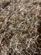 Hooibaaltjes suikerarm met analyse, Ophalen of Verzenden, Vee