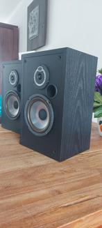BNS E 12 S  luidsprekers, Overige merken, Gebruikt, Ophalen of Verzenden, 60 tot 120 watt