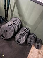 Technogym Halterschijven - €2/kg, Ophalen, Zo goed als nieuw, Armen, Halterschijven