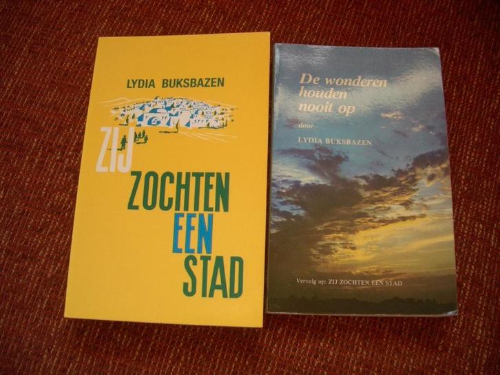 Zij zochten een Stad door Lydia Buksbazen deel 2 is verkocht, Boeken, Godsdienst en Theologie, Gelezen, Christendom | Protestants