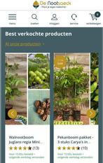 Vrucht en Notenbomen  | walnoot pekan hazel amandel pawpaw, Tuin en Terras, Planten | Fruitbomen, Lente, In pot, Ophalen of Verzenden