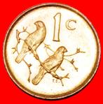 * CAPE SPARROWS (1970-1989): SOUTH AFRICA  1 CENT 1989 UNC!, Postzegels en Munten, Munten | Afrika, Zuid-Afrika, Losse munt, Verzenden