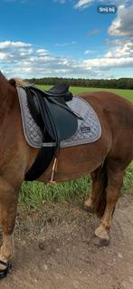Complete set voor breed paard met korte rug, Ophalen of Verzenden, Zo goed als nieuw
