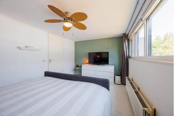 Plafondventilator met ingebouwde lamp beschikbaar voor biedingen