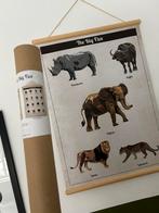 Schoolplaat the big five dierenposter, Antiek en Kunst, Antiek | Schoolplaten, Natuur en Biologie, Ophalen of Verzenden