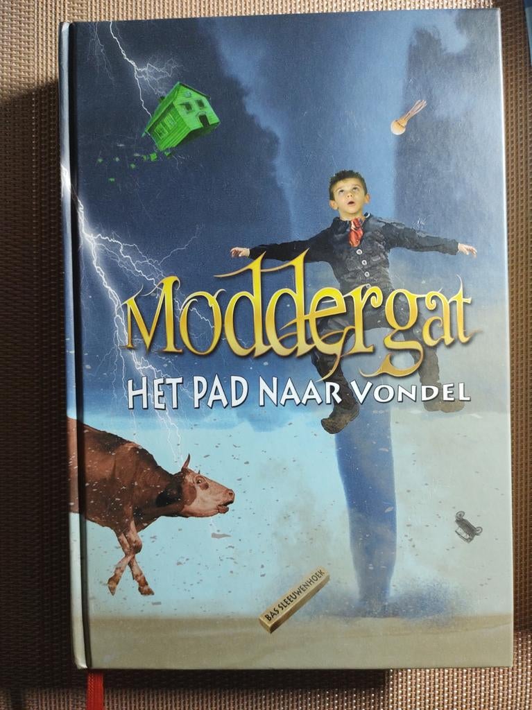 Bas Sleeuwenhoek - Moddergat. Het pad naar Vondel., Boeken, Ophalen of Verzenden, Zo goed als nieuw, Bas Sleeuwenhoek