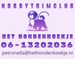 HOBBYTRIMCLUB HET HONDENKOEKJE, HEERLEN, Diensten en Vakmensen, Dieren | Honden | Verzorging, Oppas en Les, Trimmen of Verzorging